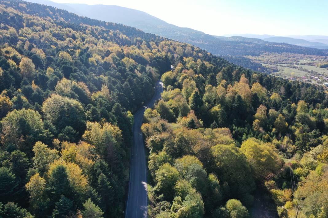 Gölcük Tabiat Parkı açık hava fotoğraf stüdyosuna dönüştü 2